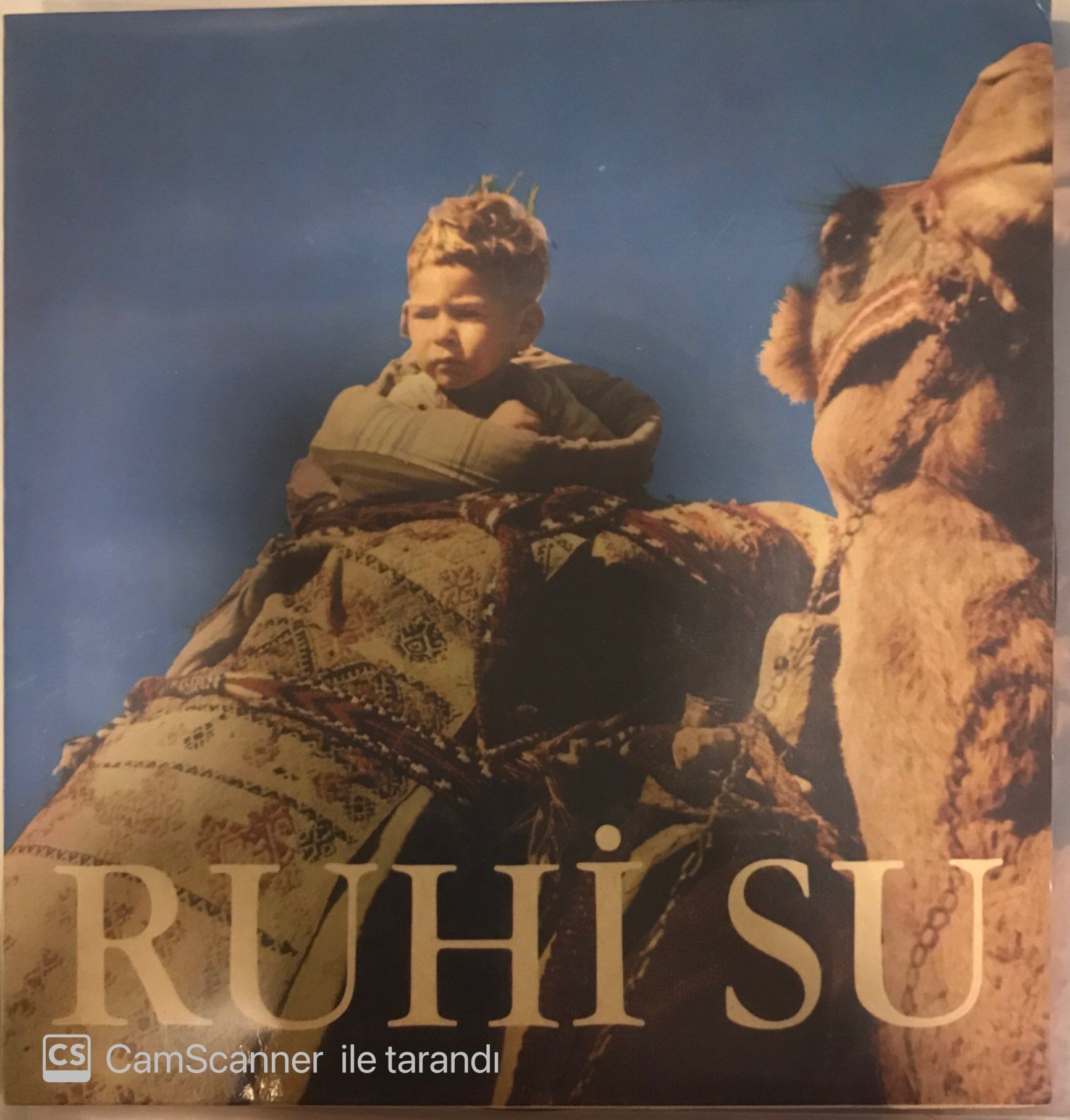 Ruhi Su Elif 45lik