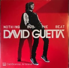 David Guetta - Nothing But The Beat Double LP