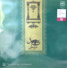 Mesedi Mehemmed Farzeli oglu / Budaq sarı Gəncəli LP