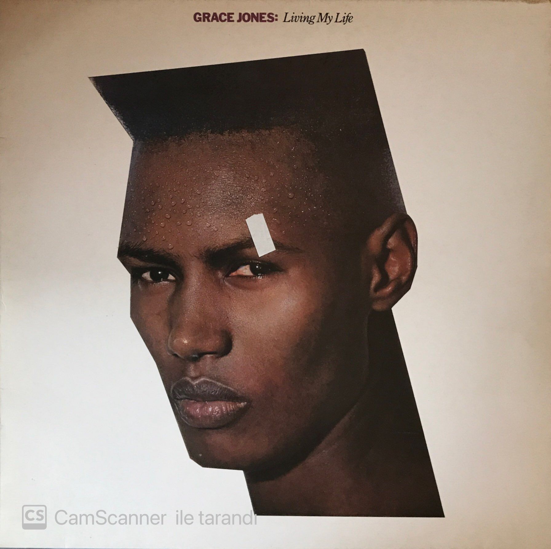 Grace Jones Living My Life LP