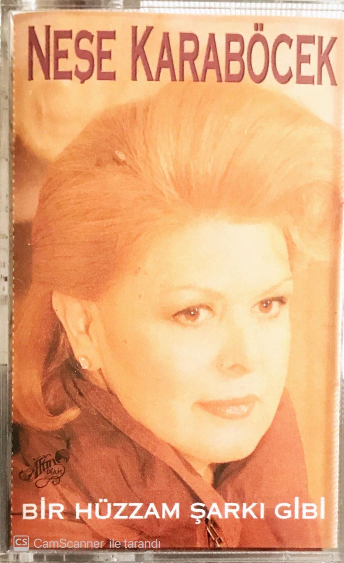 Neşe Karaböcek - Bir Hüzzam Şarkı Gibi - KASET