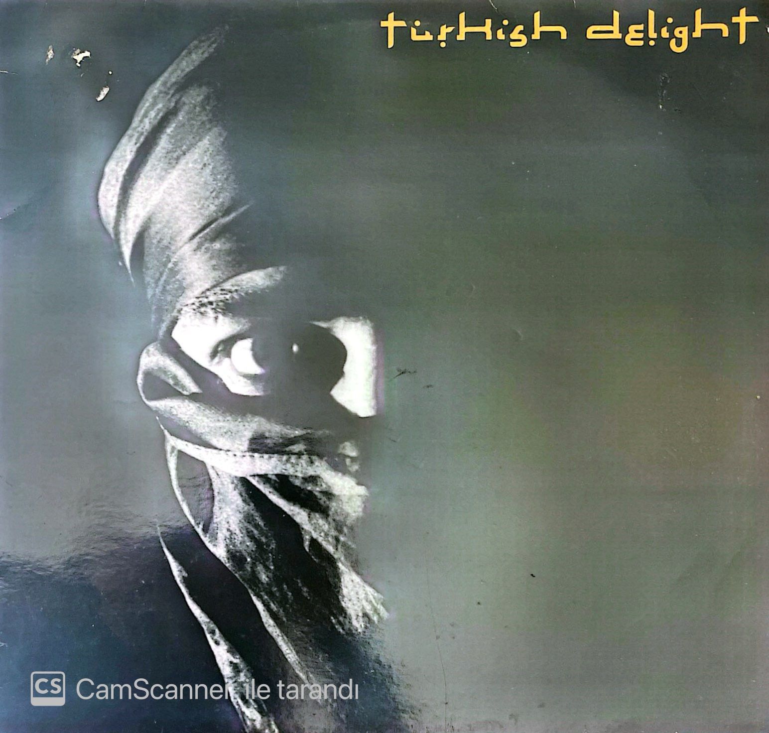 Turkish Delight - Turkish Delight (45 rpm) LP