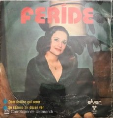 Feride Dam Üstüne Çul Serer 45lik
