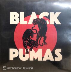 Black Pumas LP