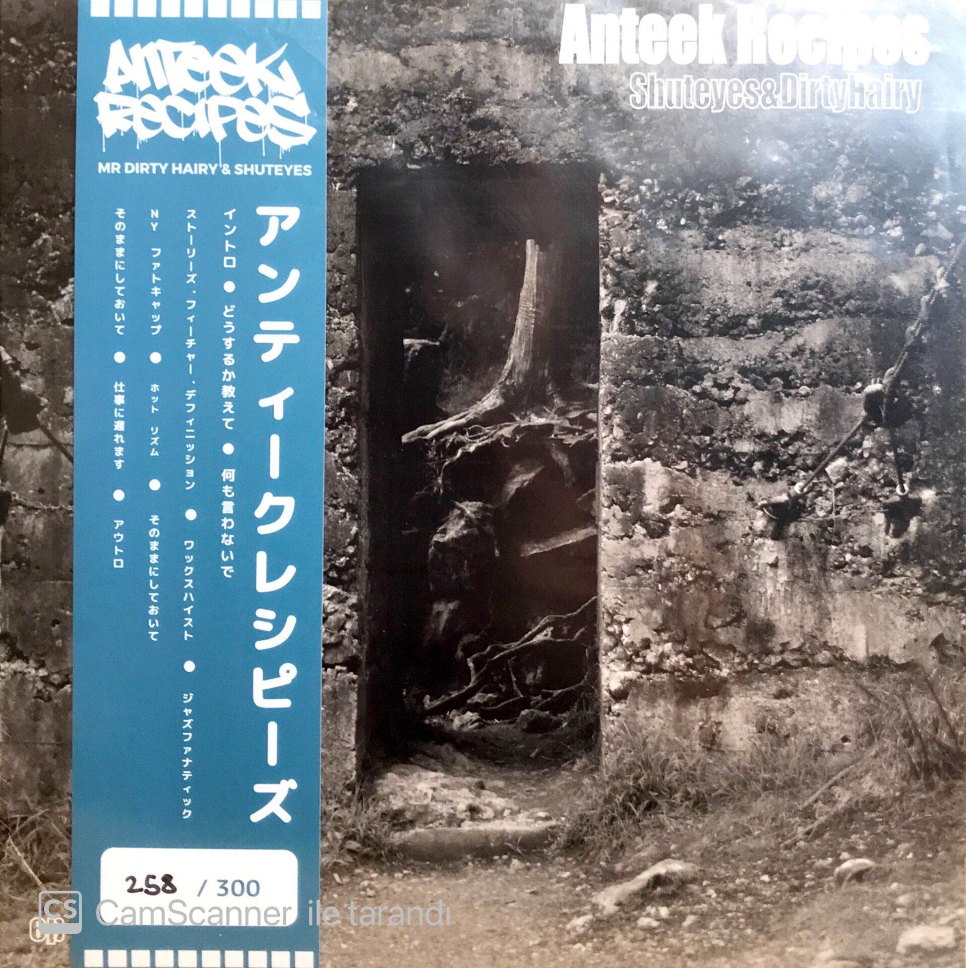 Anteek Recipes / EP LP