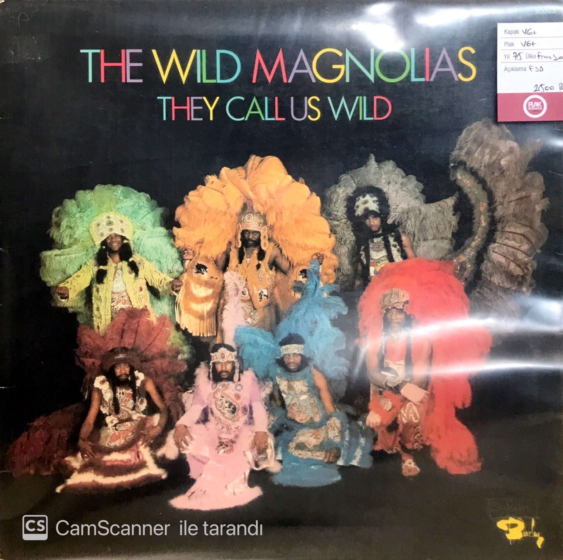 The Wild Magnolias / They Callus Wild LP