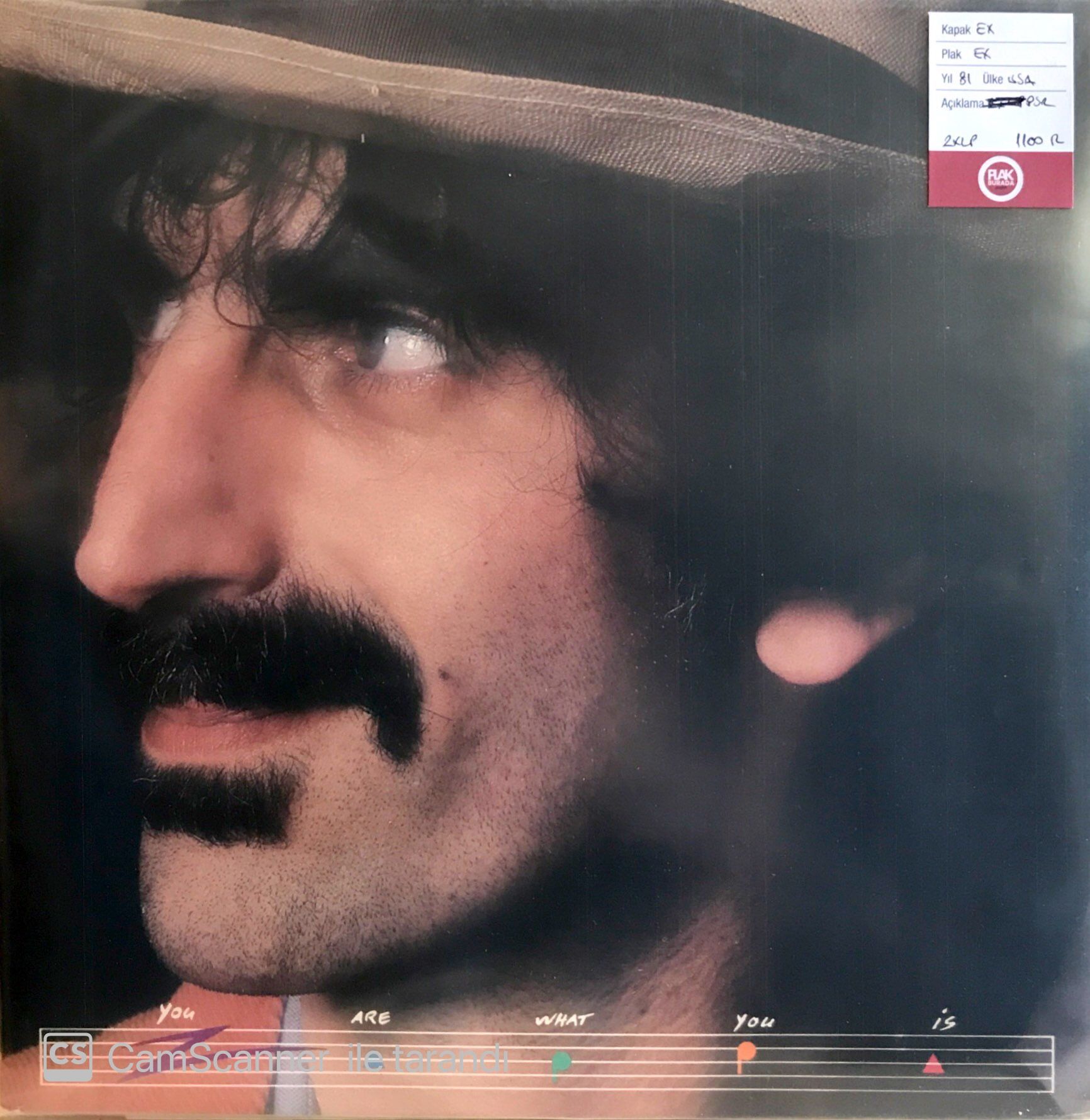 Frank Zappa / You Are What You Is Double LP