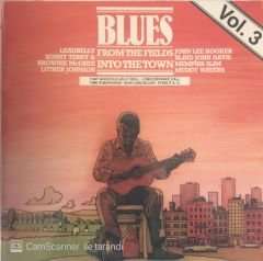 Blues From The Fıeld Into The Down LP