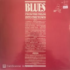 Blues From The Fıeld Into The Down LP