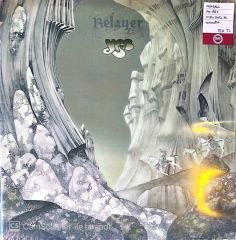 Yes Relayer LP