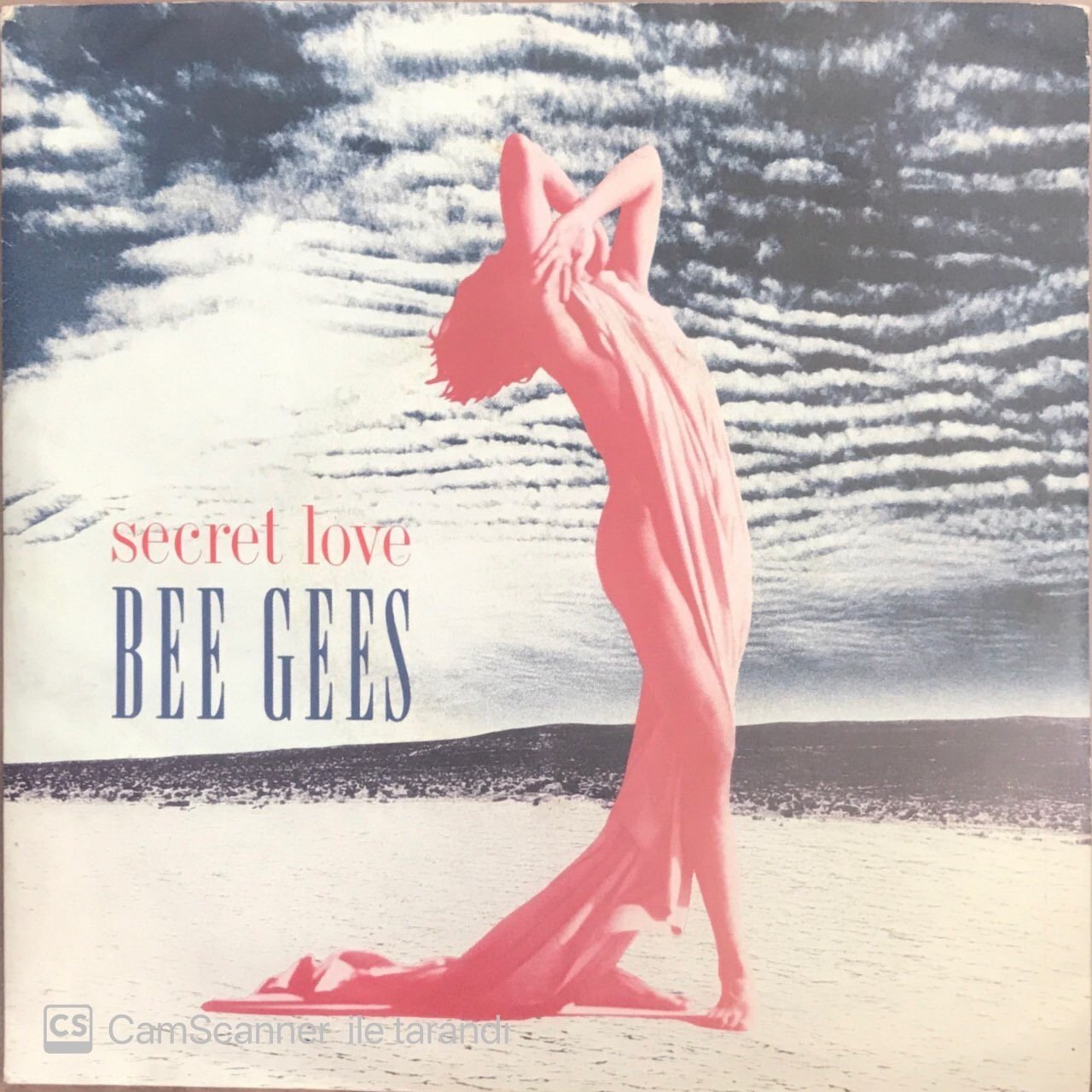 Bee Gees Secret Love 45lik