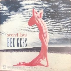 Bee Gees Secret Love 45lik