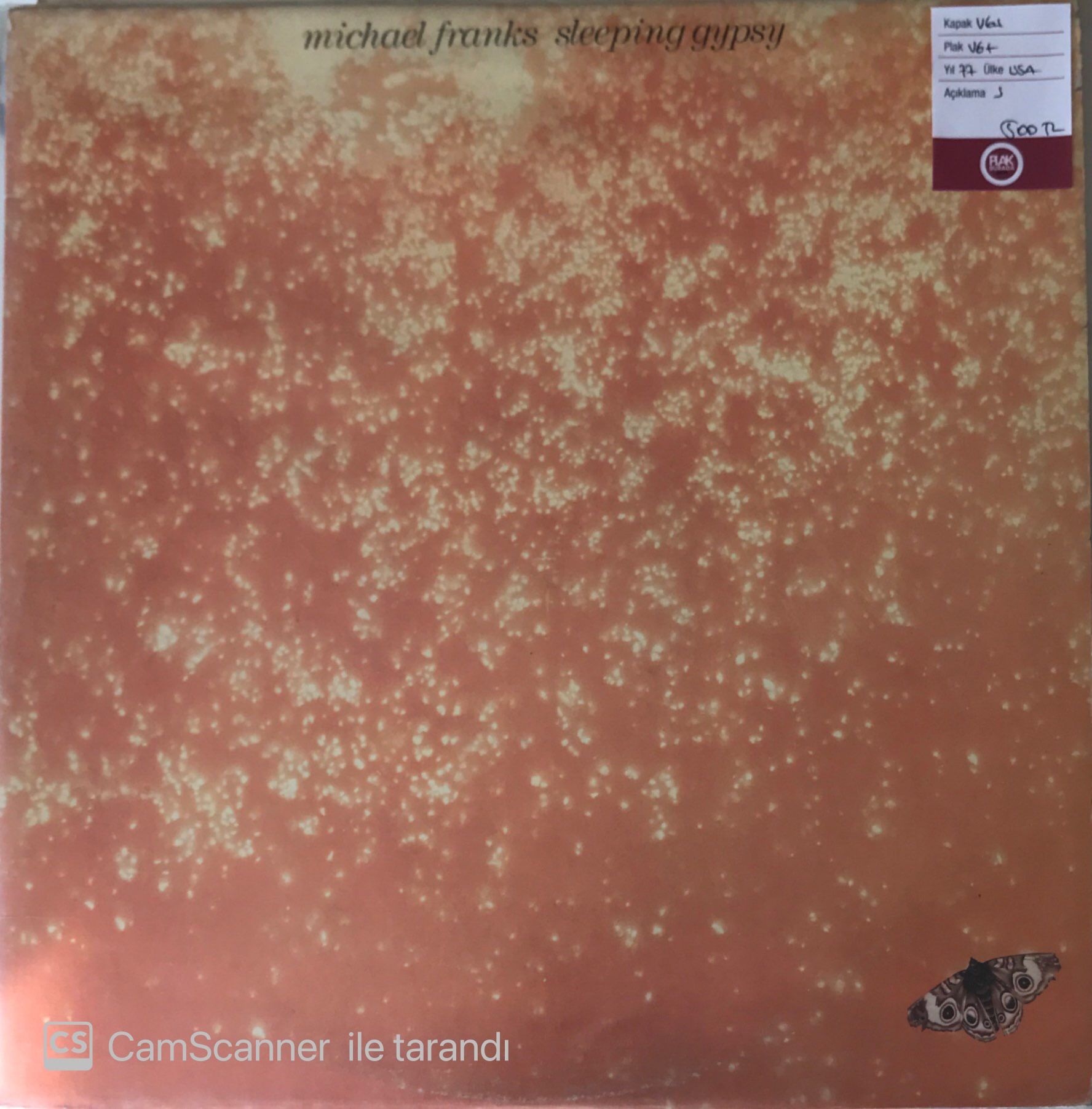 Michael Franks - Sleeping Gypsy LP