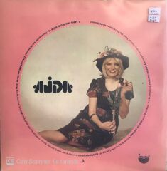 Ajda / Hoş Gör Sen LP