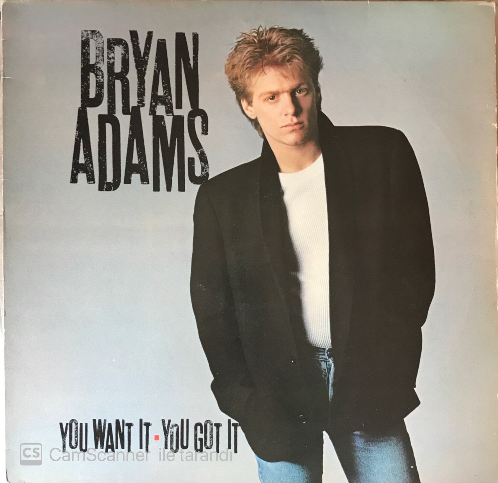 Bryan Adams You Want Ot You Got It LP
