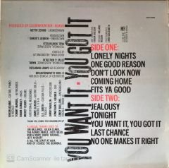 Bryan Adams You Want Ot You Got It LP