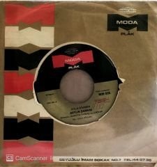 Ayla Dikmen Ayrılık Şarkısı 45lik