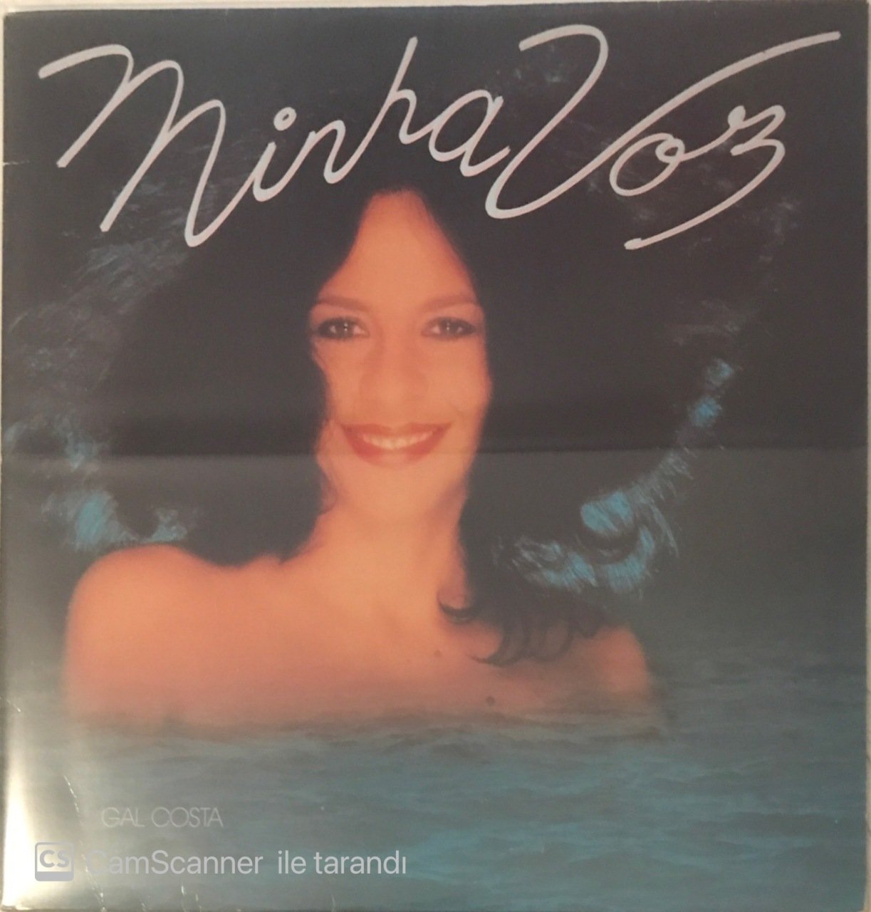 Gal Costa Minha Voz LP