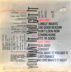 Bryan Adams You Want Ot You Got It LP