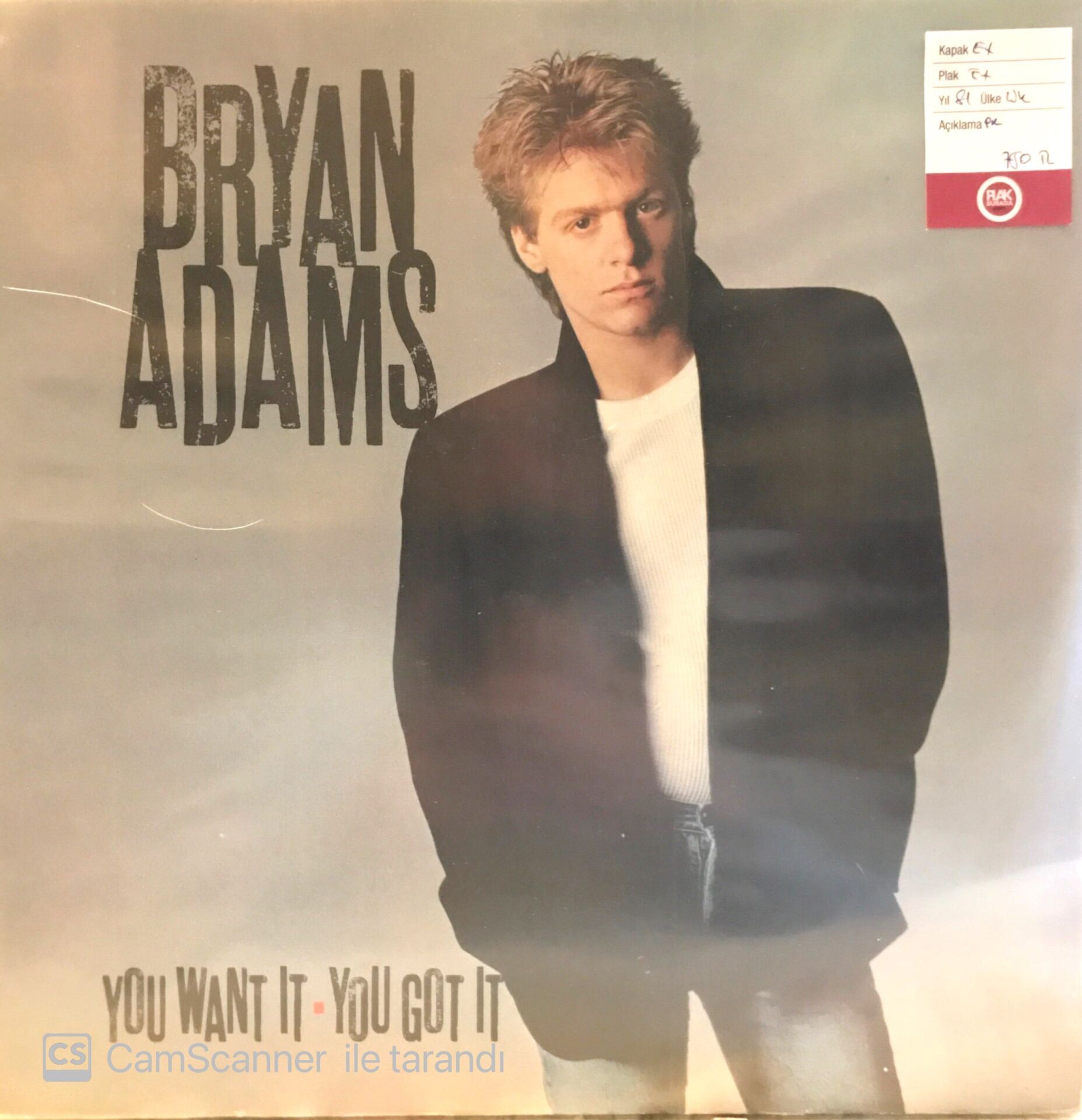 Bryan Adams You Want Ot You Got It LP