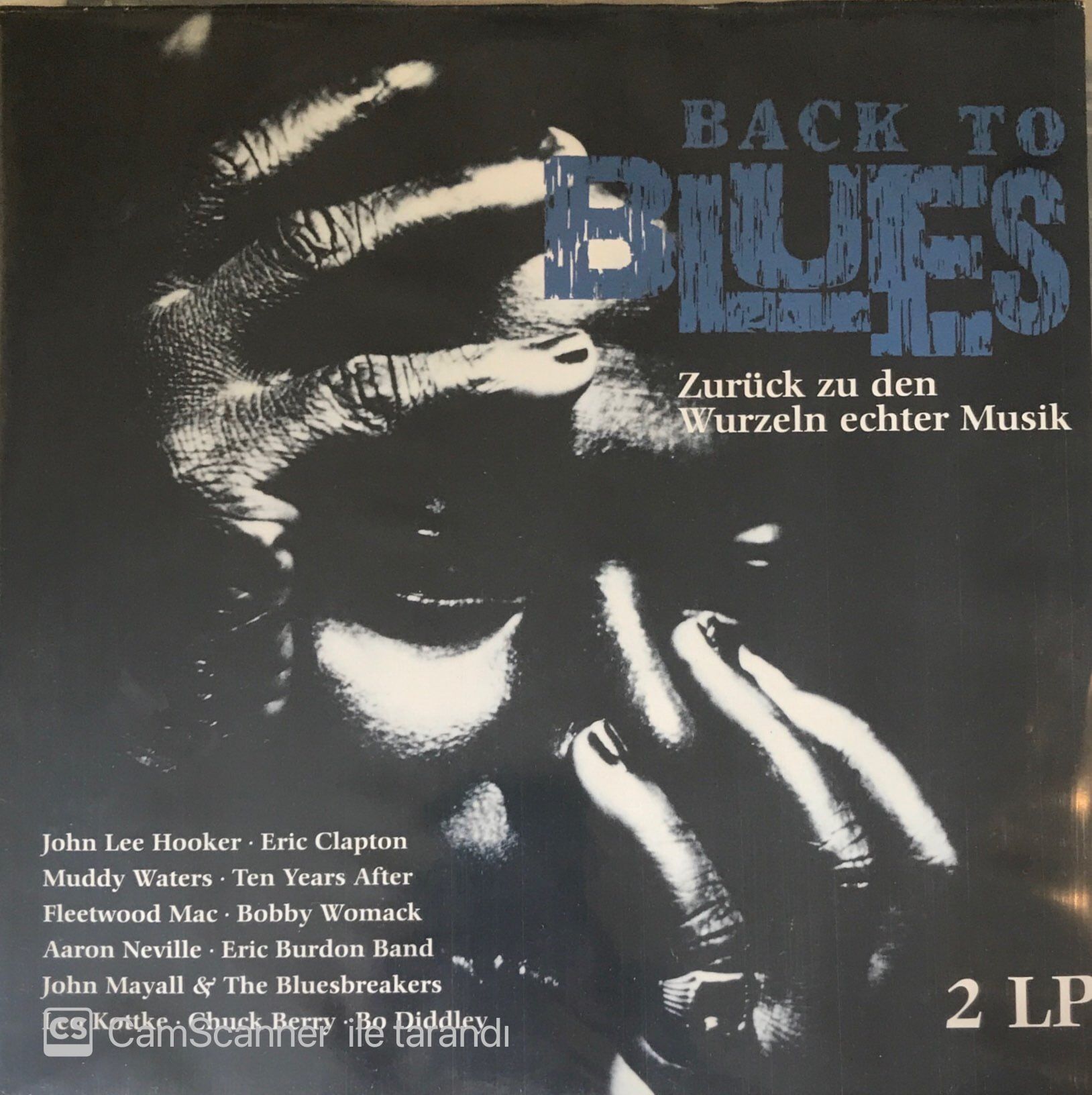Back To Blues - Çeşitli Double LP