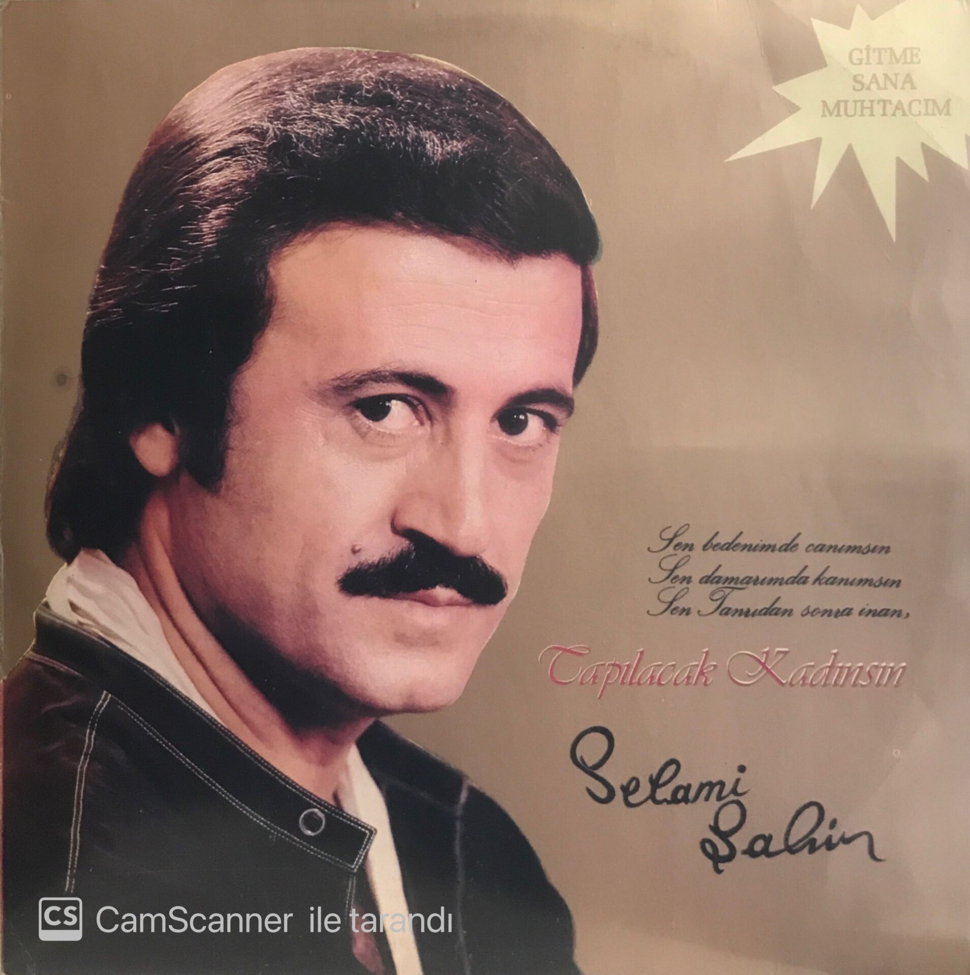 Selami Şahin / Tapılacak Kadınsın LP