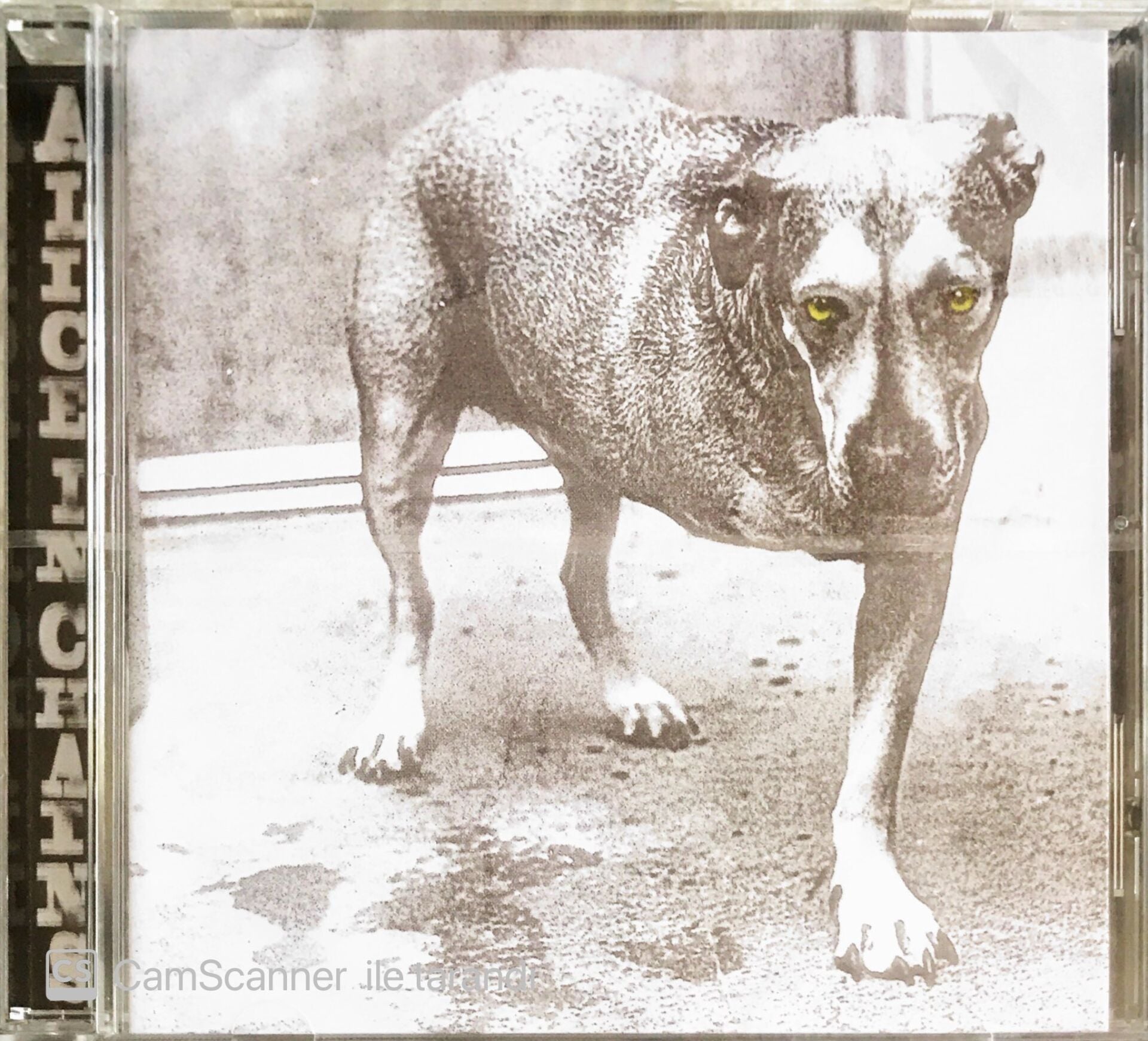 Alice In Chains - Alice In Chains - CD