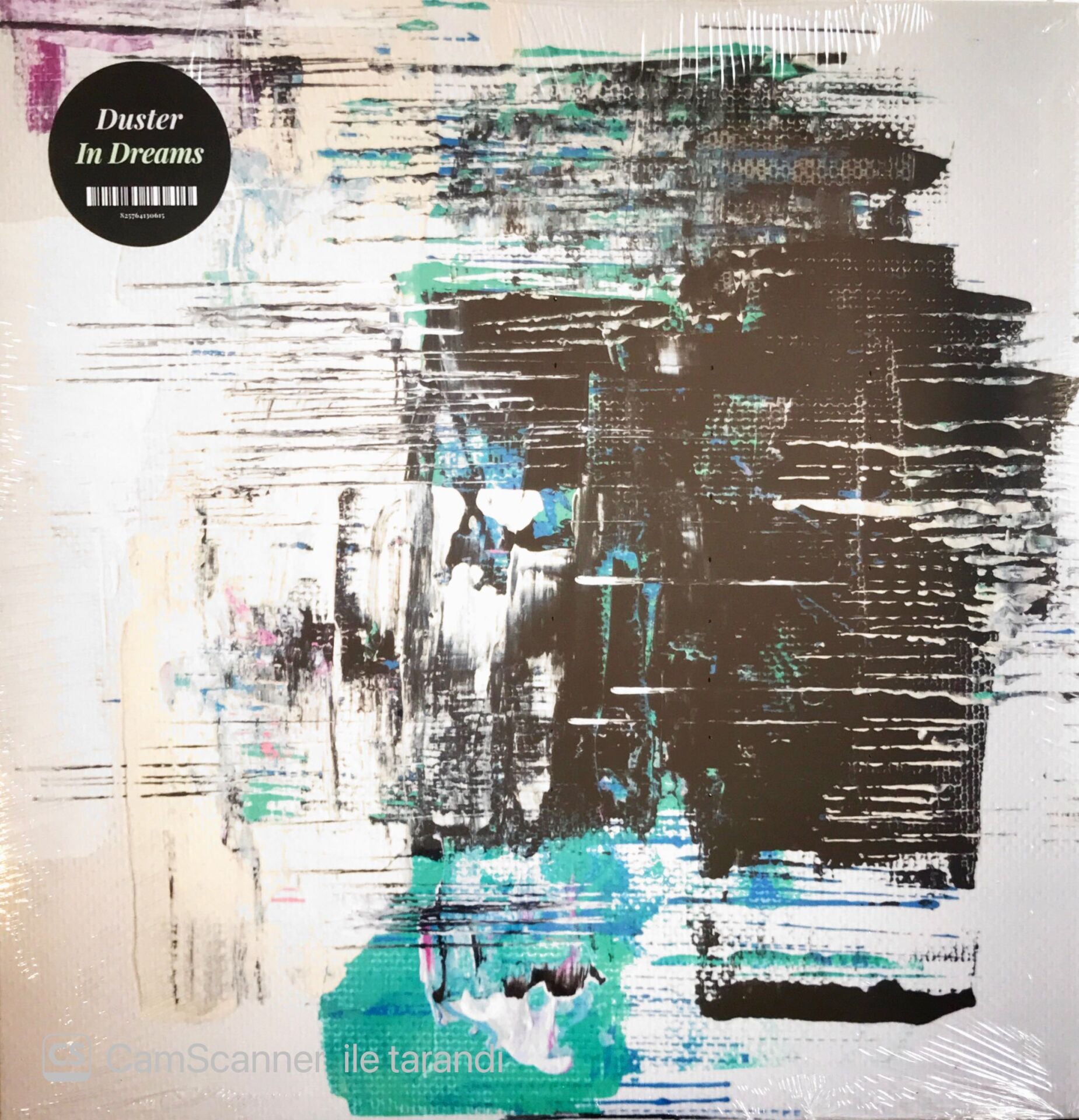 Duster in Dreams LP