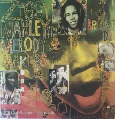Ziggy Marley And The Melody Makers LP