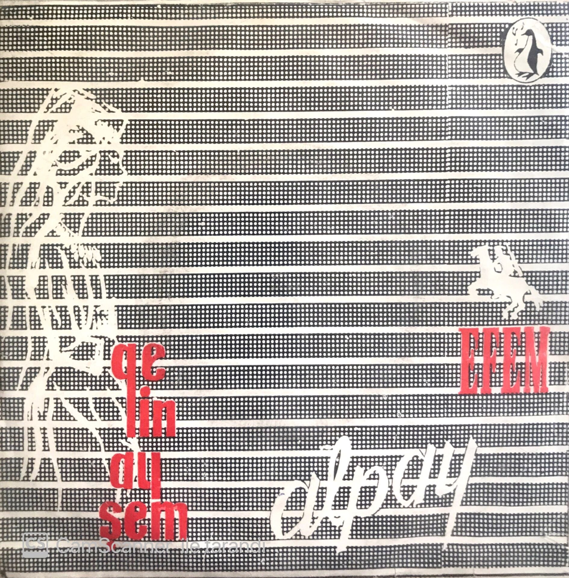 Alpay Gelin Ayşe 45 Lik