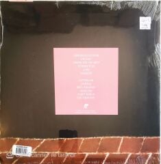 Duster Duster LP