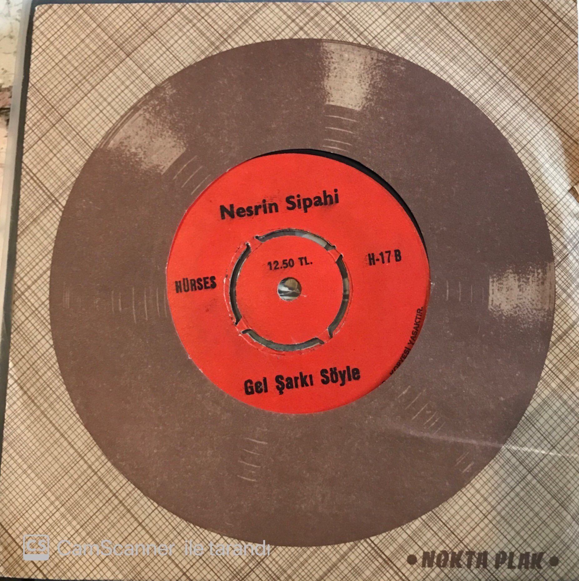 Nesrin Sipahi Gel Şarkı Söyle 45lik