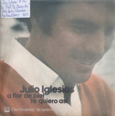 Julio Iglesias A Flor De Piel 45lik
