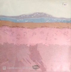 Gözyaşı Çetesi Karar LP