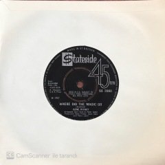 Gene Pitney Something's Gotten Hold Of My Heart 45lik