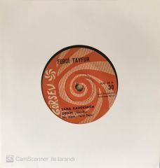 Ferdi Tayfur Postacılar 45lik