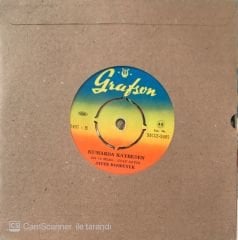 Ayfer Başıbüyük - İstanbulun Her Yanı 45lik