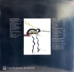 Captain Beefheart & The Magic Band / Lick My Decals Off Baby LP