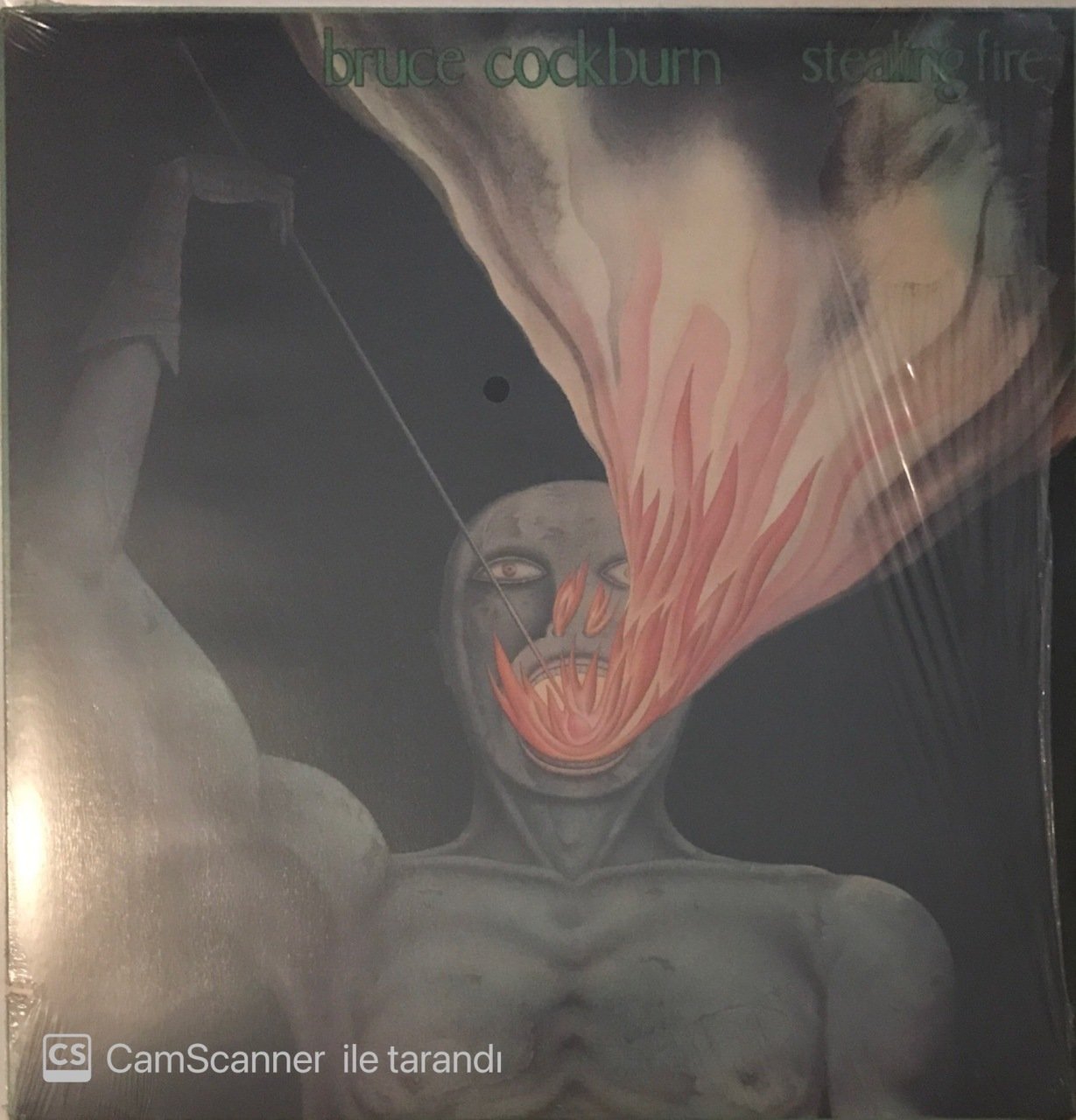 Bruce Cockburn Stealing Fire LP