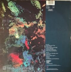 Hothouse Flowers - Home LP