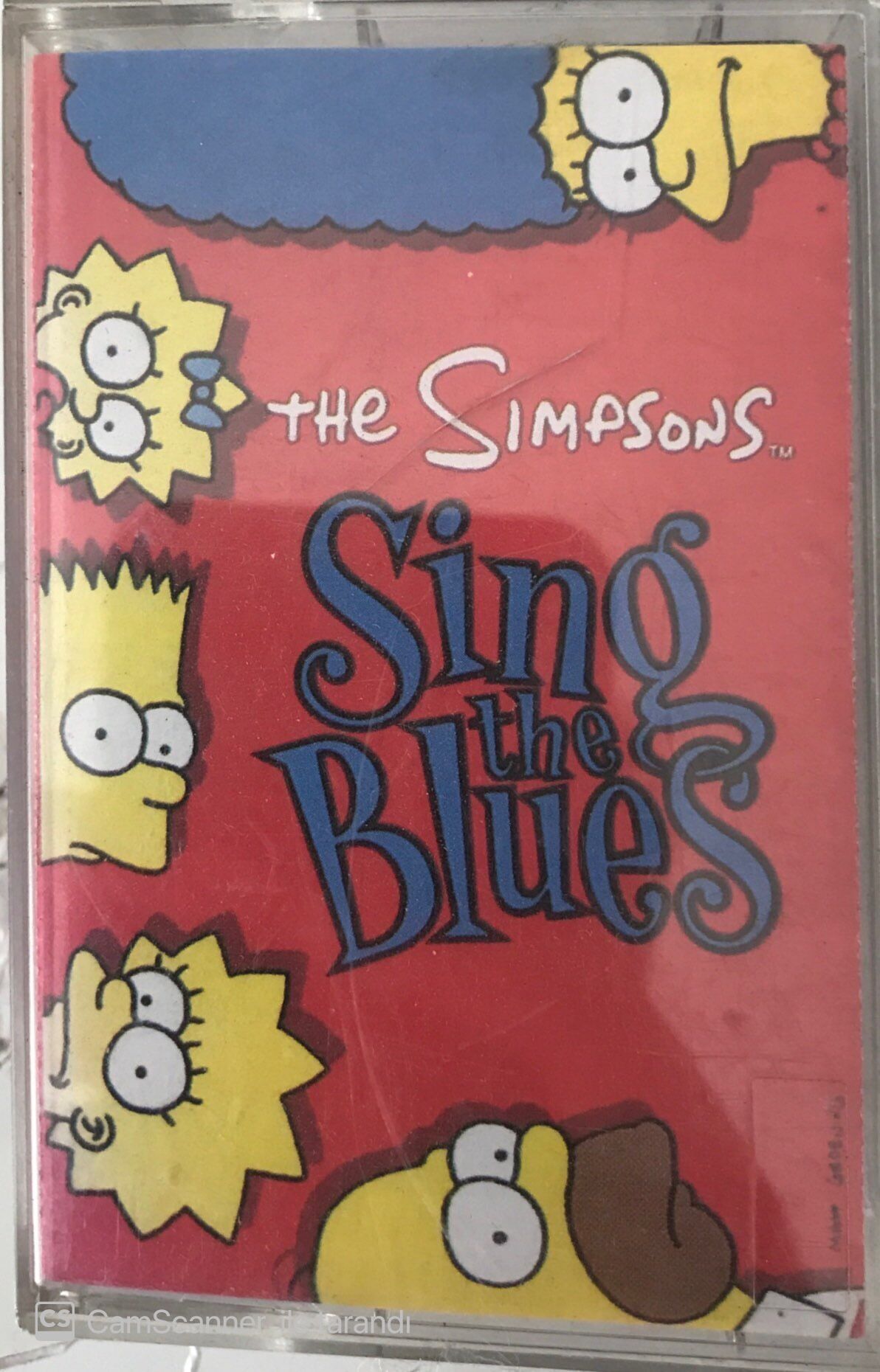 The Simpsons Sing The Blues KASET