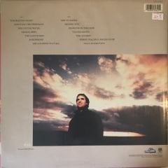 Chrıs De Burgh - Spark To A Flame LP