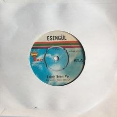 Esengül Beterin Beteri Var 45lik
