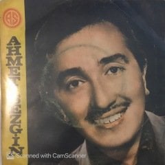 Ahmet Sezgin Bu Masal Böyle Bitti 45lik