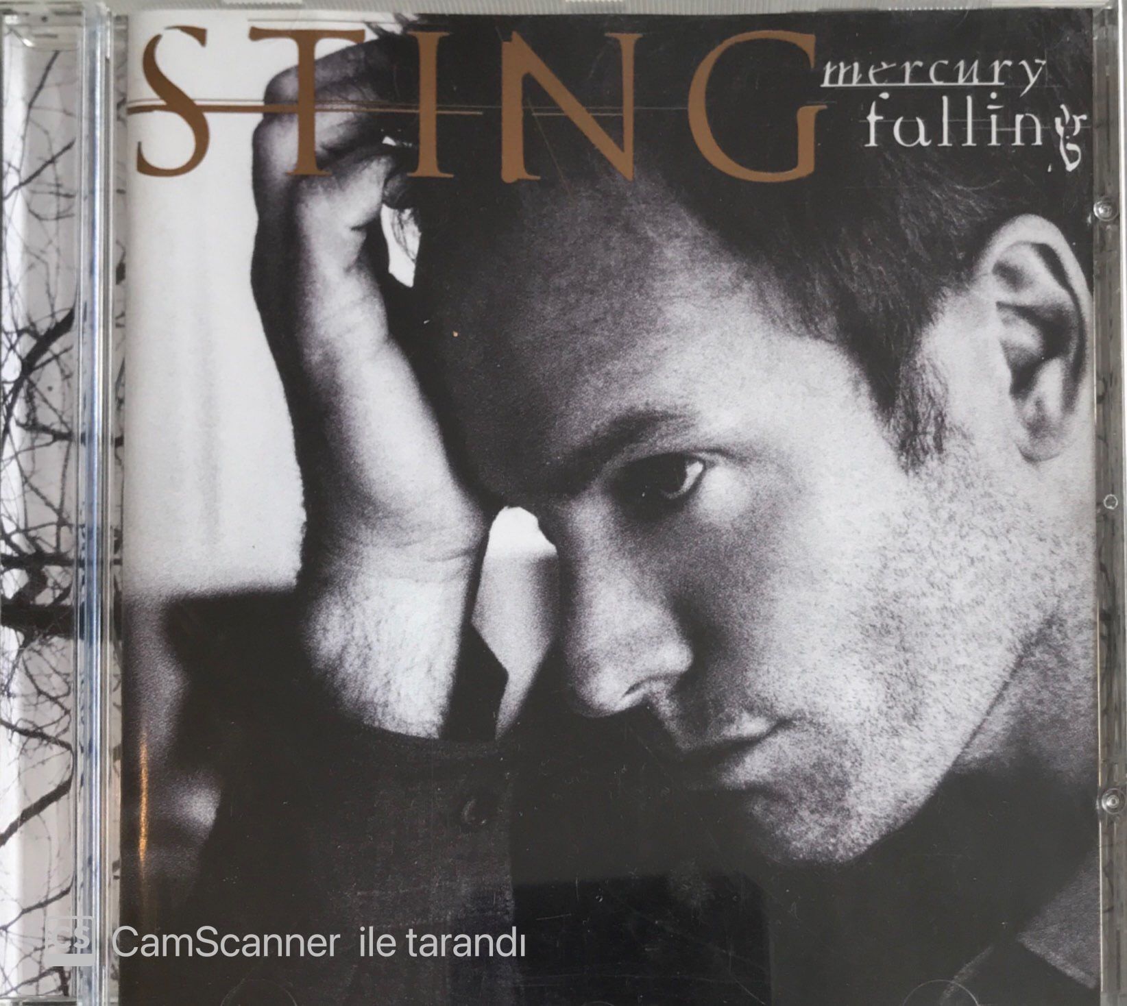 Sting Mercufry Falling CD