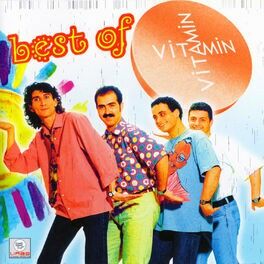 Grup Vitamin - Best Of LP