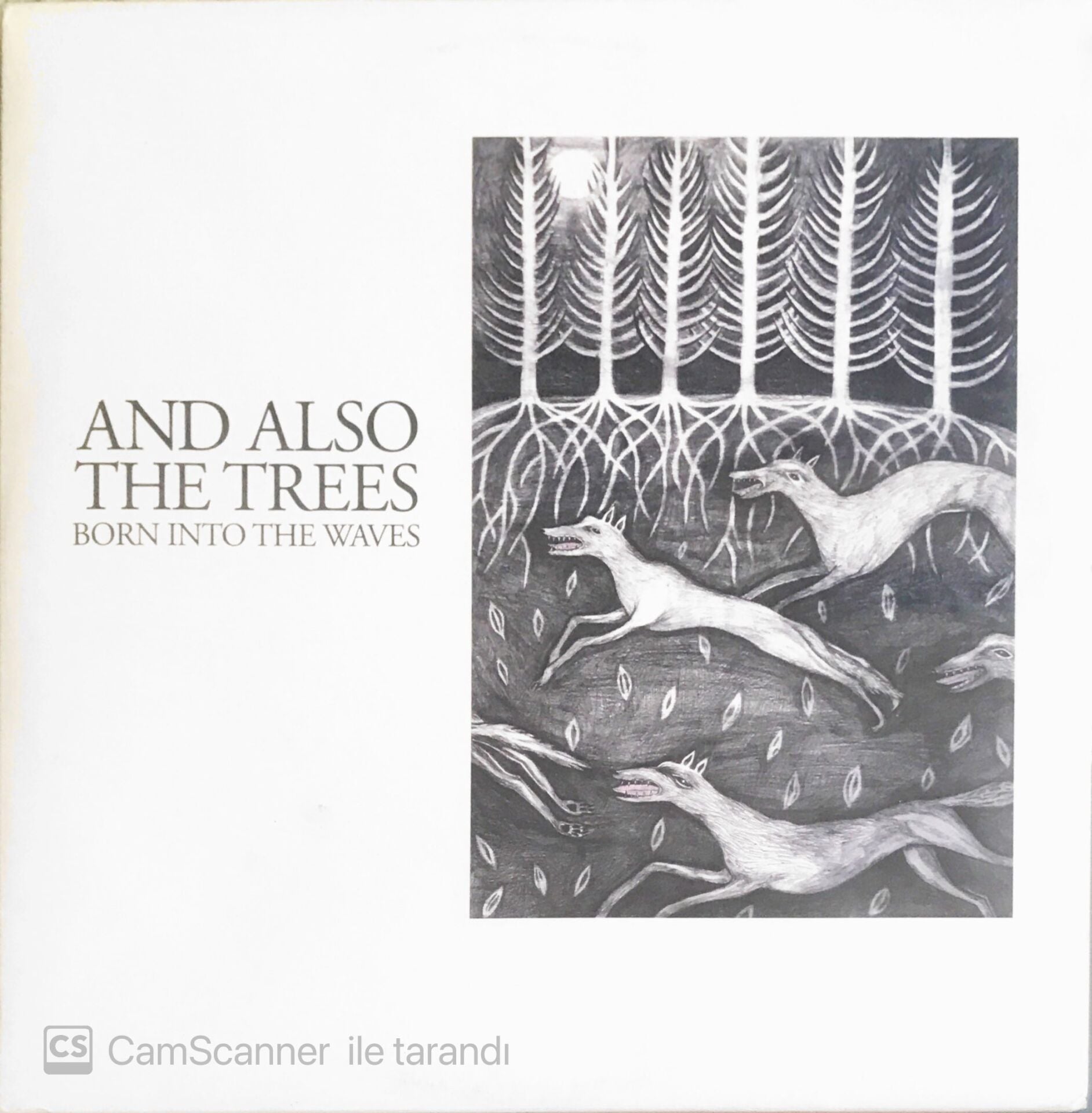 And Also The Trees - Born Into The Waves - LP