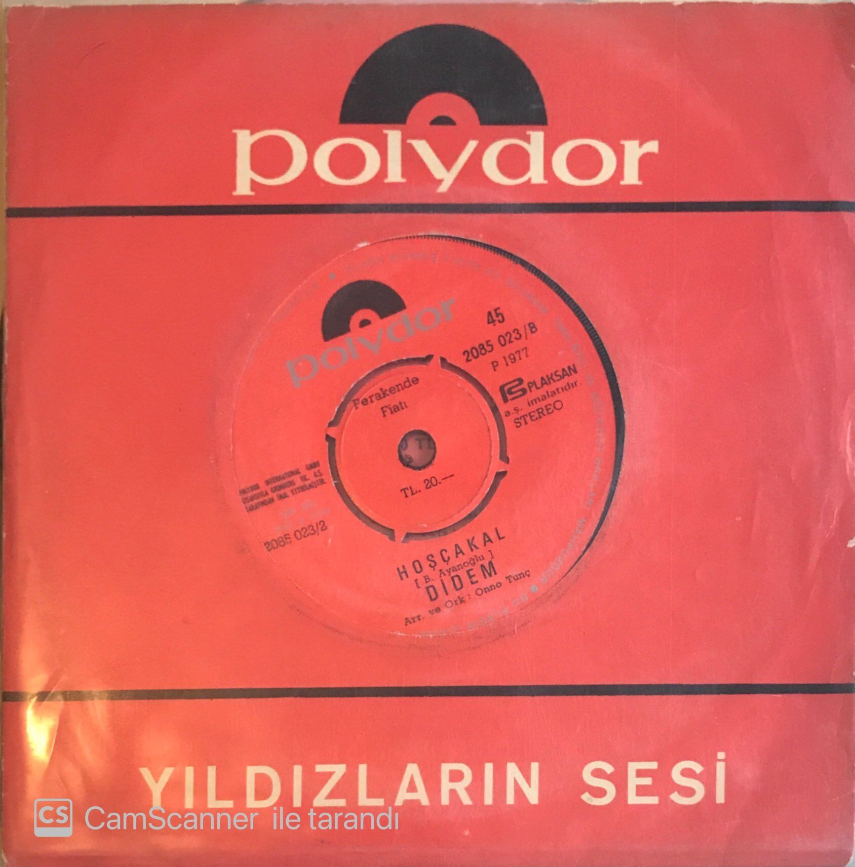 Didem - Hoşçakal 45lik