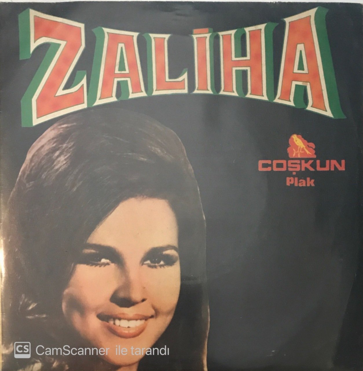 Zaliha Benimsin Bu Gece 45lik