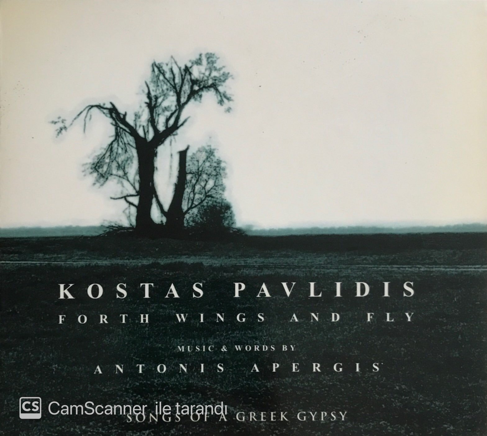 Kostav Pavlidis Forth Wings And Fly CD